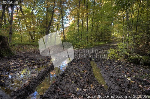 Image of Muddy Road in Autumn