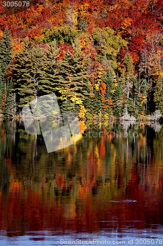 Image of Lake in Autumn