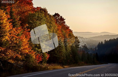 Image of Autumn Colors and road 