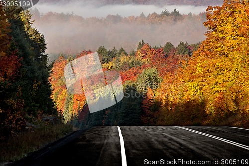 Image of Autumn Colors and road 