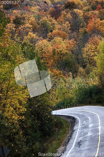 Image of Autumn Colors and road 
