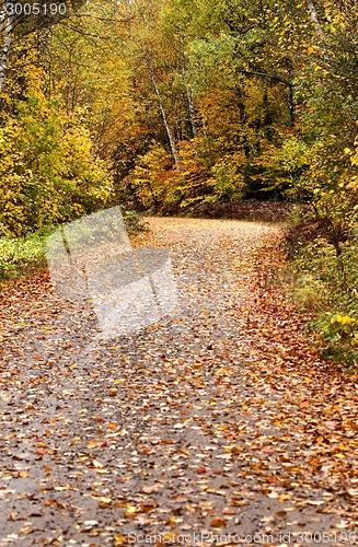 Image of Autumn Colors and road 