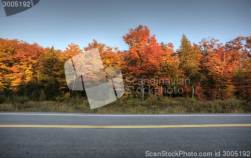 Image of Autumn Colors and road 