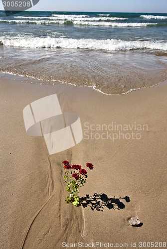 Image of Shoreline Lake Huron