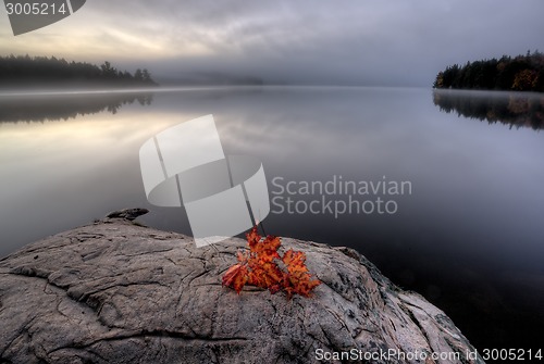 Image of Lake in Autumn sunrise reflection