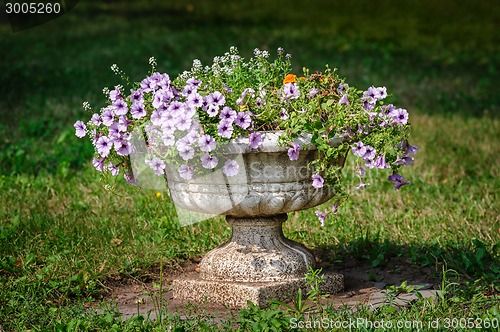 Image of flower pot in the park