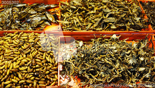 Image of fried insects