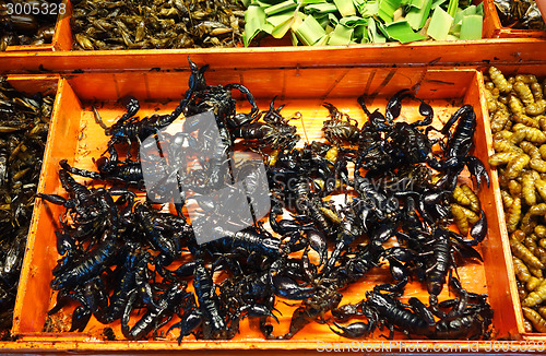 Image of fried insects