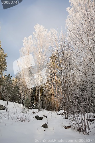 Image of winter meadows