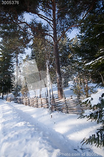 Image of winter