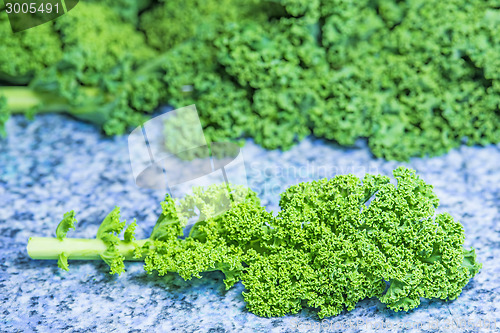 Image of green kale