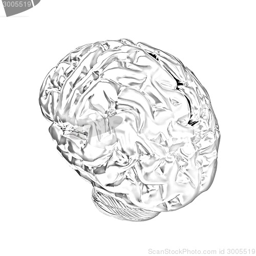 Image of Gold human brain