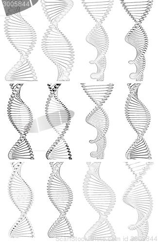 Image of Set of DNA structure model
