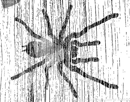 Image of Grunge tarantula