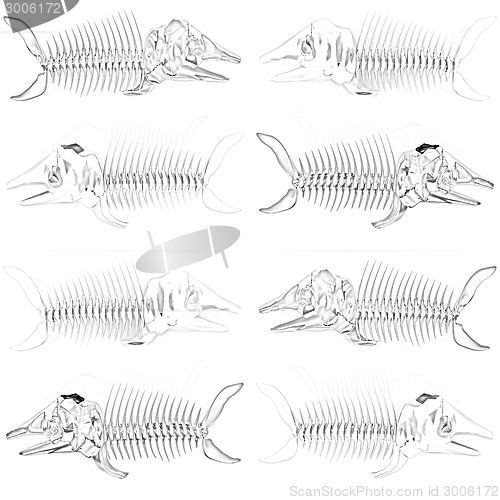 Image of Set of 3d metall illustration of fish skeleton 
