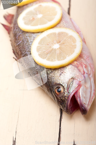 Image of fresh whole raw fish