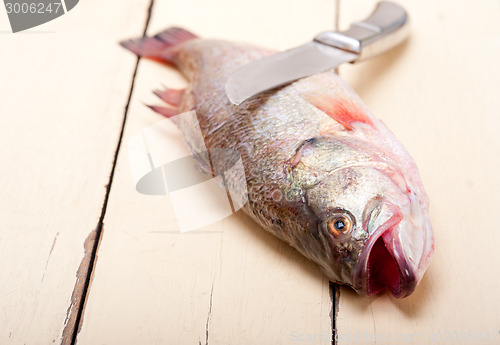 Image of fresh whole raw fish