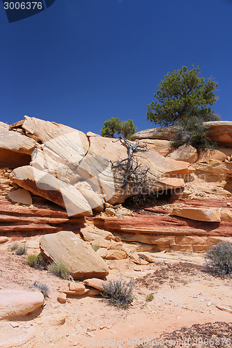 Image of Canyonlands National Park