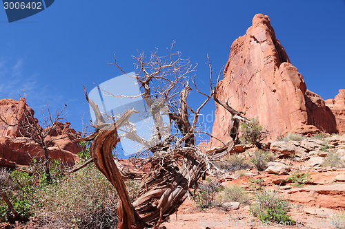 Image of Arches National Park