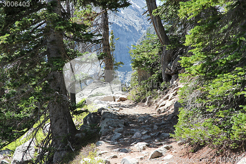 Image of Hiking in United States