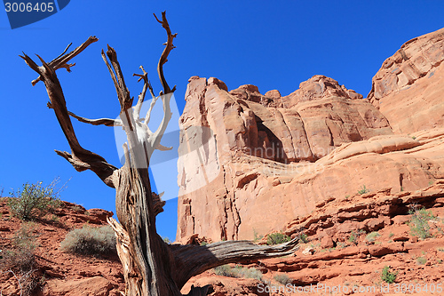 Image of Utah - Arches National Park