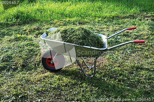 Image of wheelbarrow on a lawn with fresh grass
