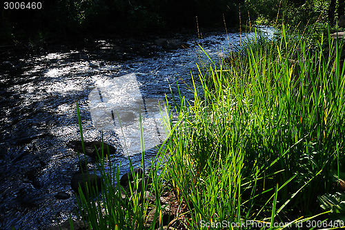 Image of fast river and green grass