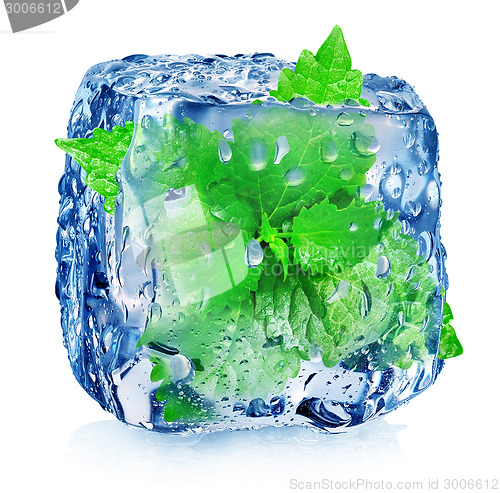 Image of Mint in ice cube