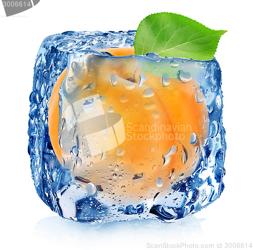 Image of Apricot in ice cube