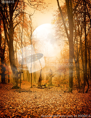 Image of Autumn forest and the moon