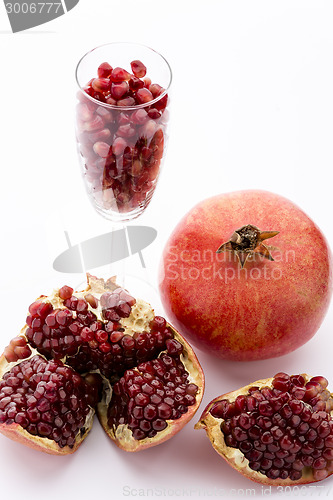 Image of Pomegranate, Punica granatum