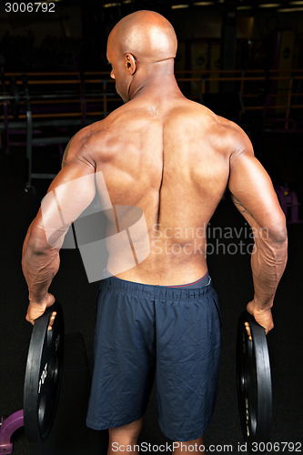 Image of Muscular Back