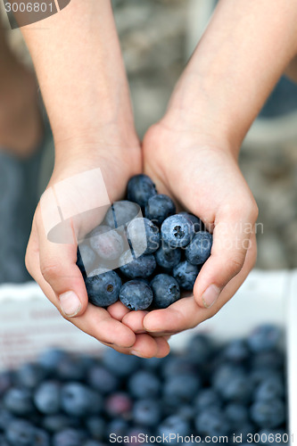 Image of Blueberry Handful