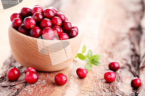 Image of cranberries