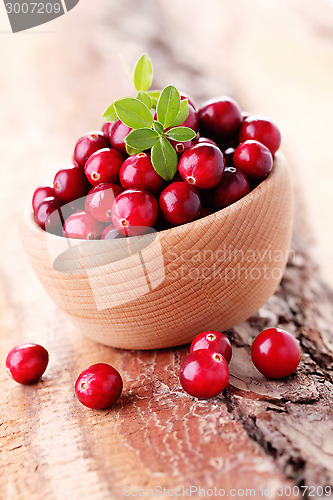 Image of cranberries