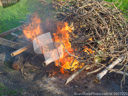 Image of Burning fire