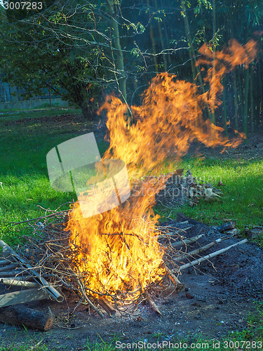 Image of Burning fire