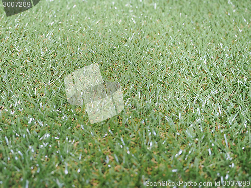 Image of Artificial grass