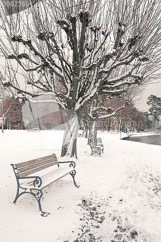 Image of winter scenery