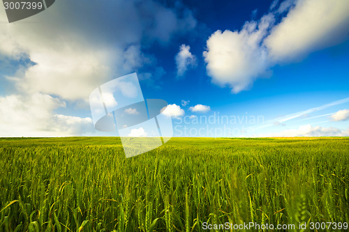 Image of Beautiful green landscape