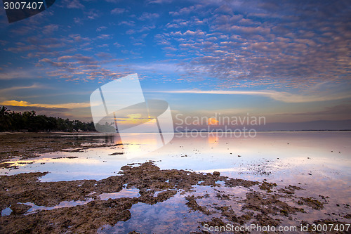 Image of Tropical Beach