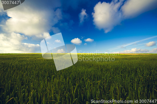 Image of Beautiful green landscape