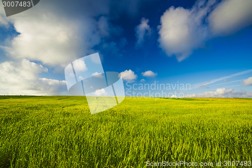 Image of Beautiful green landscape