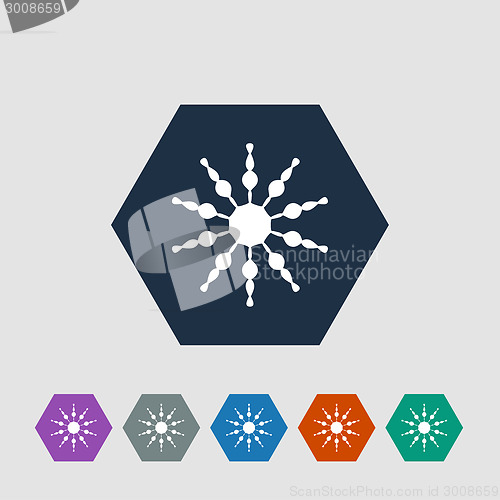 Image of Snowflake icon