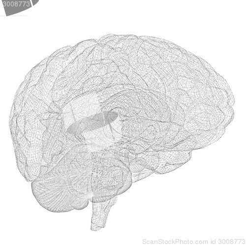 Image of Creative concept of the human brain