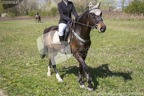 Image of Girl rider and horse