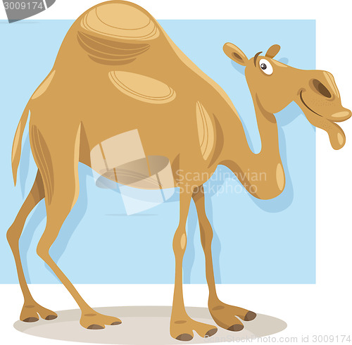 Image of dromedary camel cartoon illustration