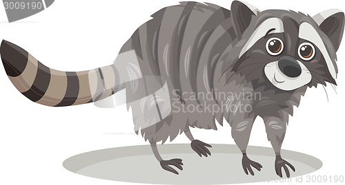 Image of raccoon animal cartoon illustration