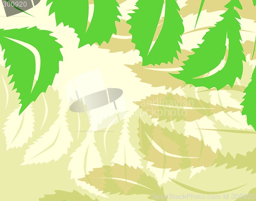 Image of Leaf background