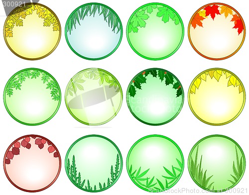Image of Leaf frames